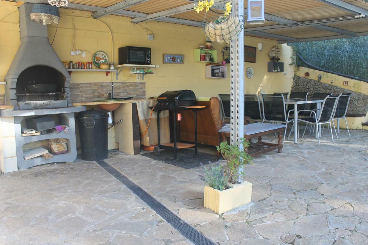 Romani,26 Olivella المظهر الخارجي الصورة